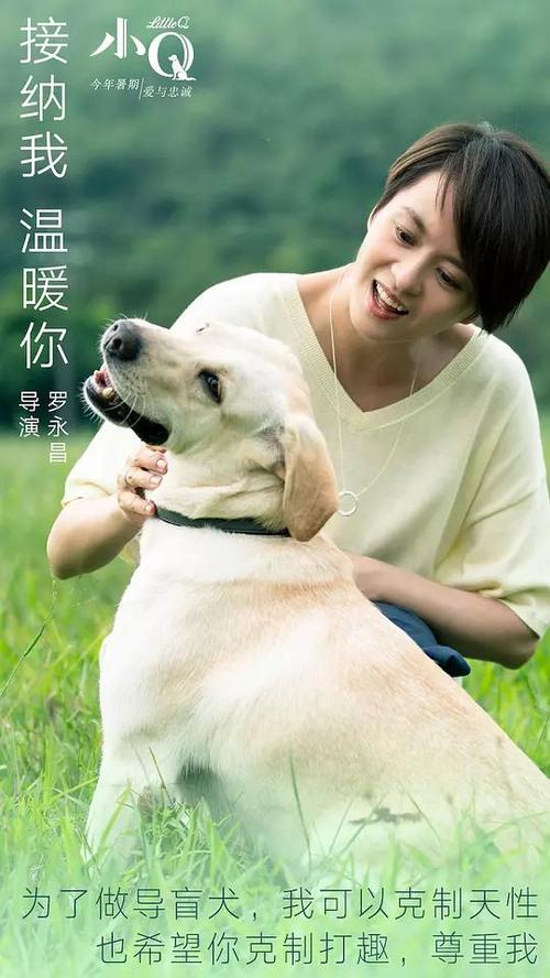 新喀里多尼亚大学graduation certificate